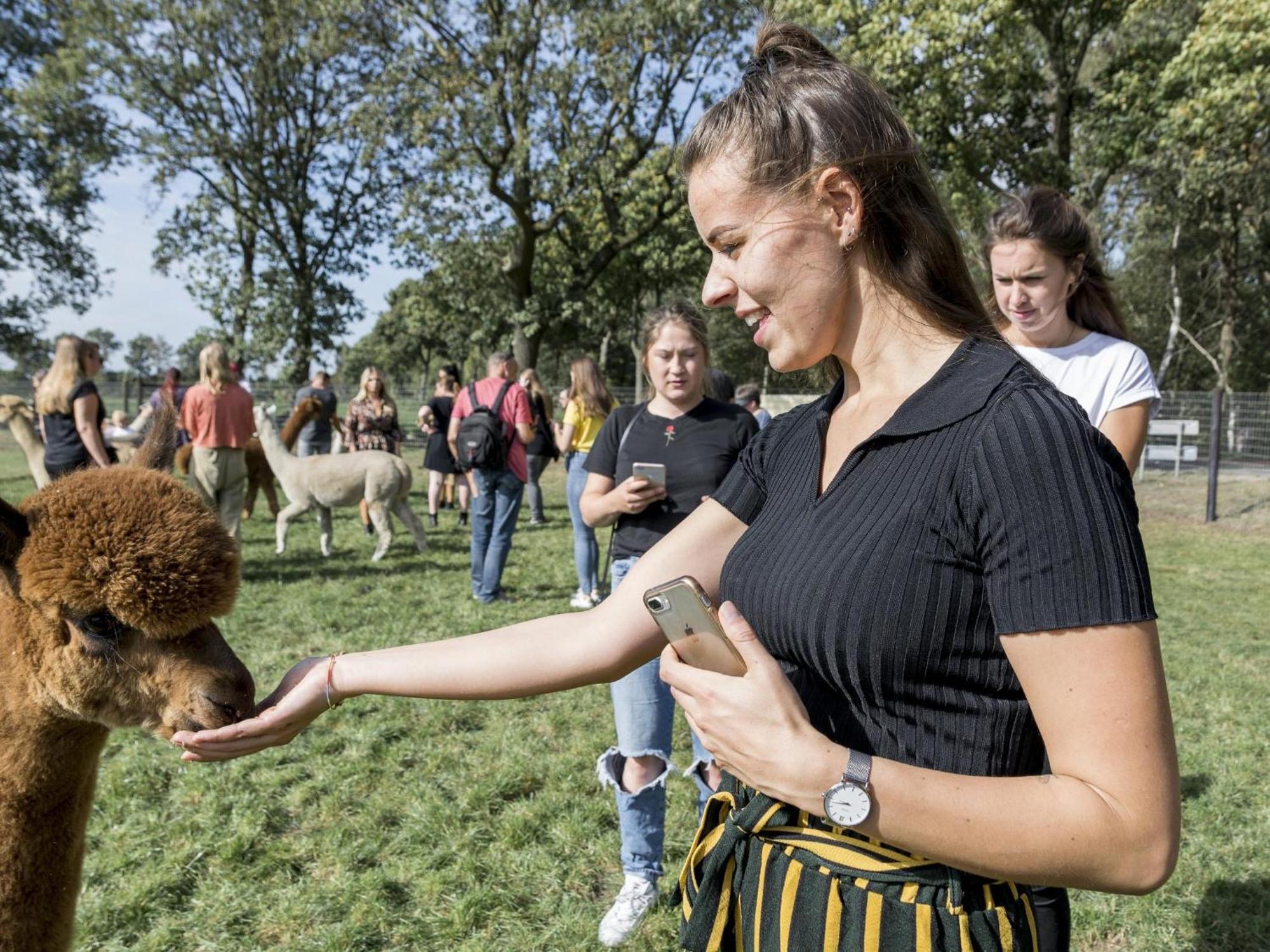 Alpacafarm Vorstenbosch Exterior photo