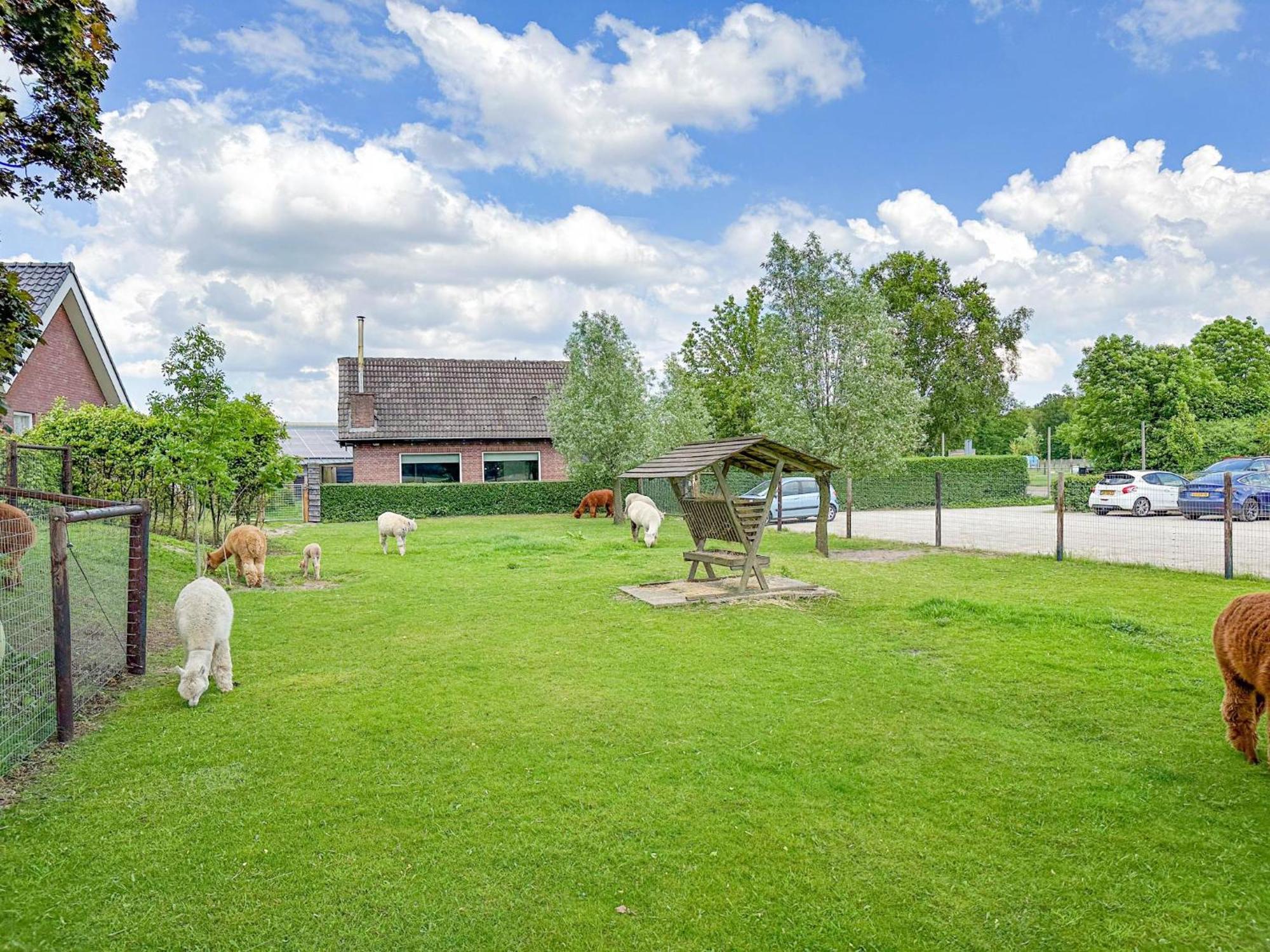 Alpacafarm Vorstenbosch Exterior photo