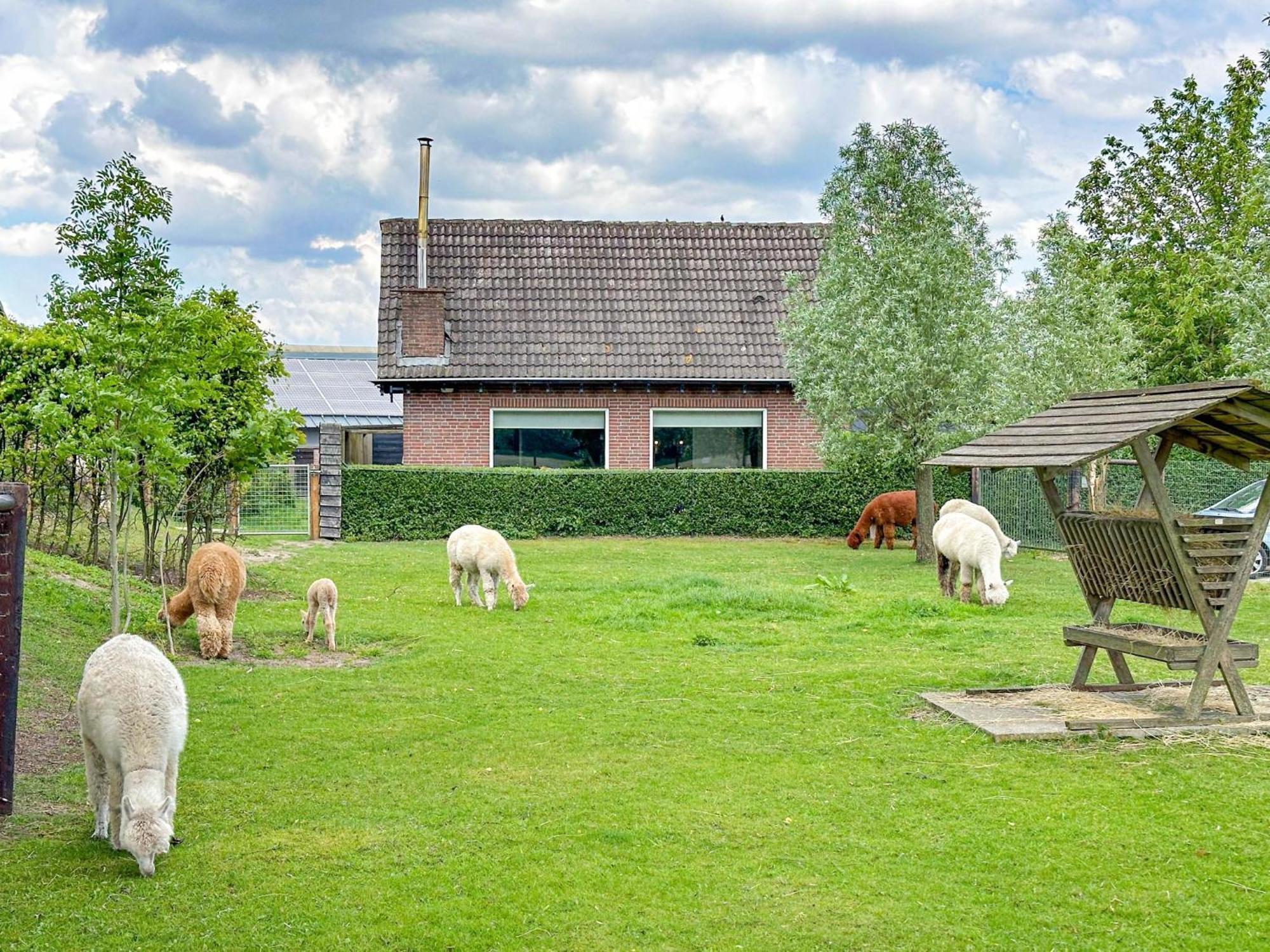 Alpacafarm Vorstenbosch Exterior photo